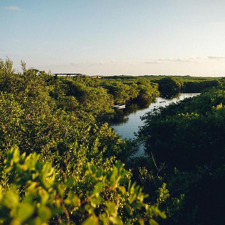 فندق Uman Glamping & Cenote تولوم المظهر الخارجي الصورة