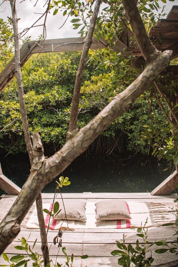 فندق Uman Glamping & Cenote تولوم المظهر الخارجي الصورة