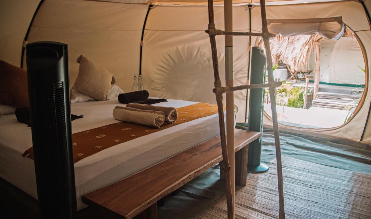 فندق Uman Glamping & Cenote تولوم المظهر الخارجي الصورة