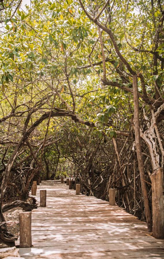 فندق Uman Glamping & Cenote تولوم المظهر الخارجي الصورة