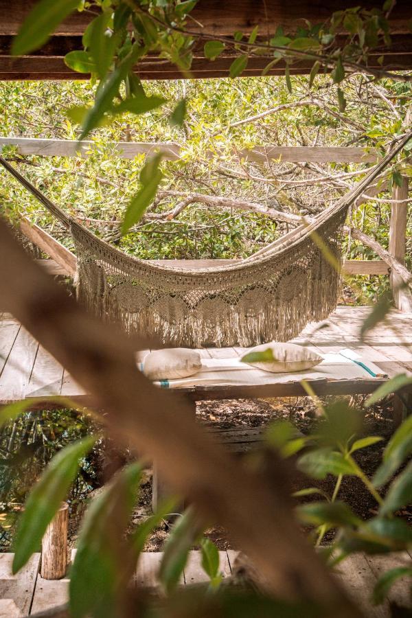 فندق Uman Glamping & Cenote تولوم المظهر الخارجي الصورة