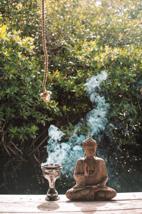 فندق Uman Glamping & Cenote تولوم المظهر الخارجي الصورة