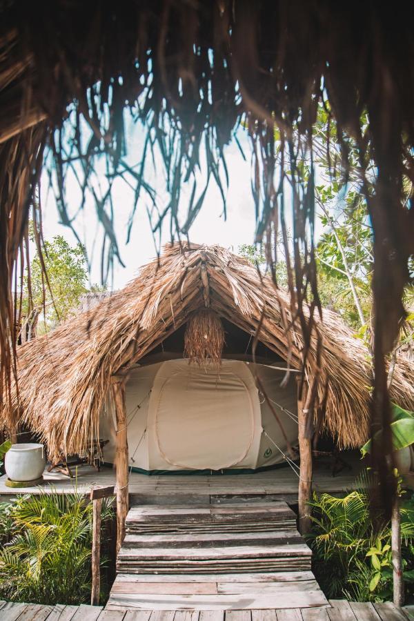 فندق Uman Glamping & Cenote تولوم المظهر الخارجي الصورة