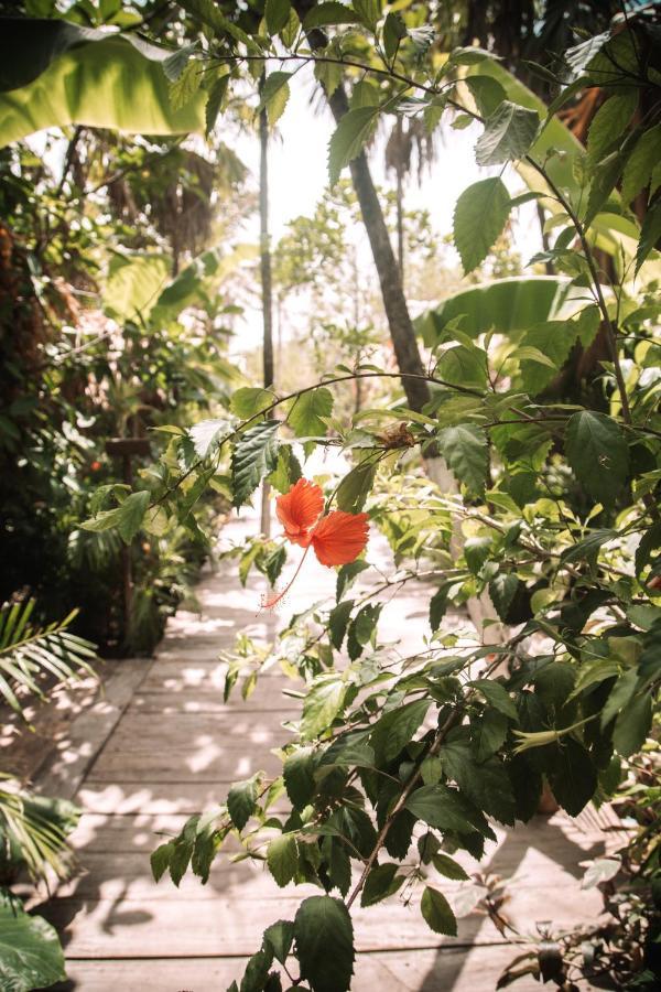 فندق Uman Glamping & Cenote تولوم المظهر الخارجي الصورة