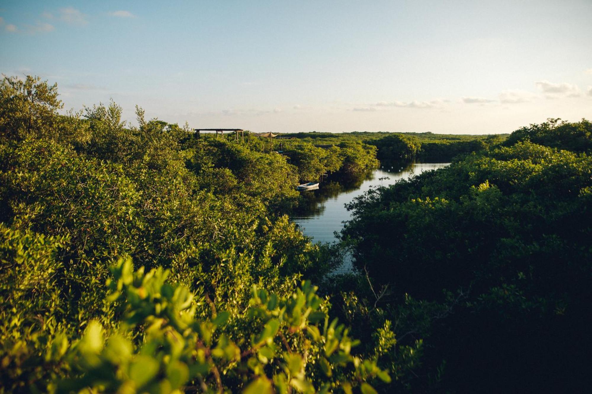 فندق Uman Glamping & Cenote تولوم المظهر الخارجي الصورة