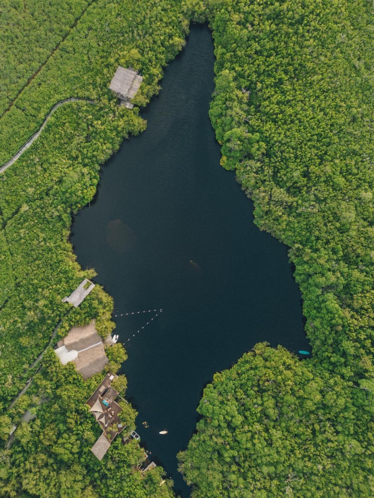 فندق Uman Glamping & Cenote تولوم المظهر الخارجي الصورة