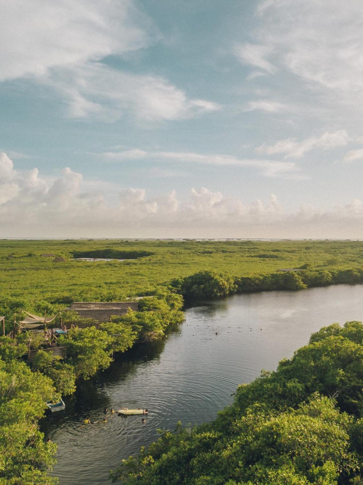 فندق Uman Glamping & Cenote تولوم المظهر الخارجي الصورة