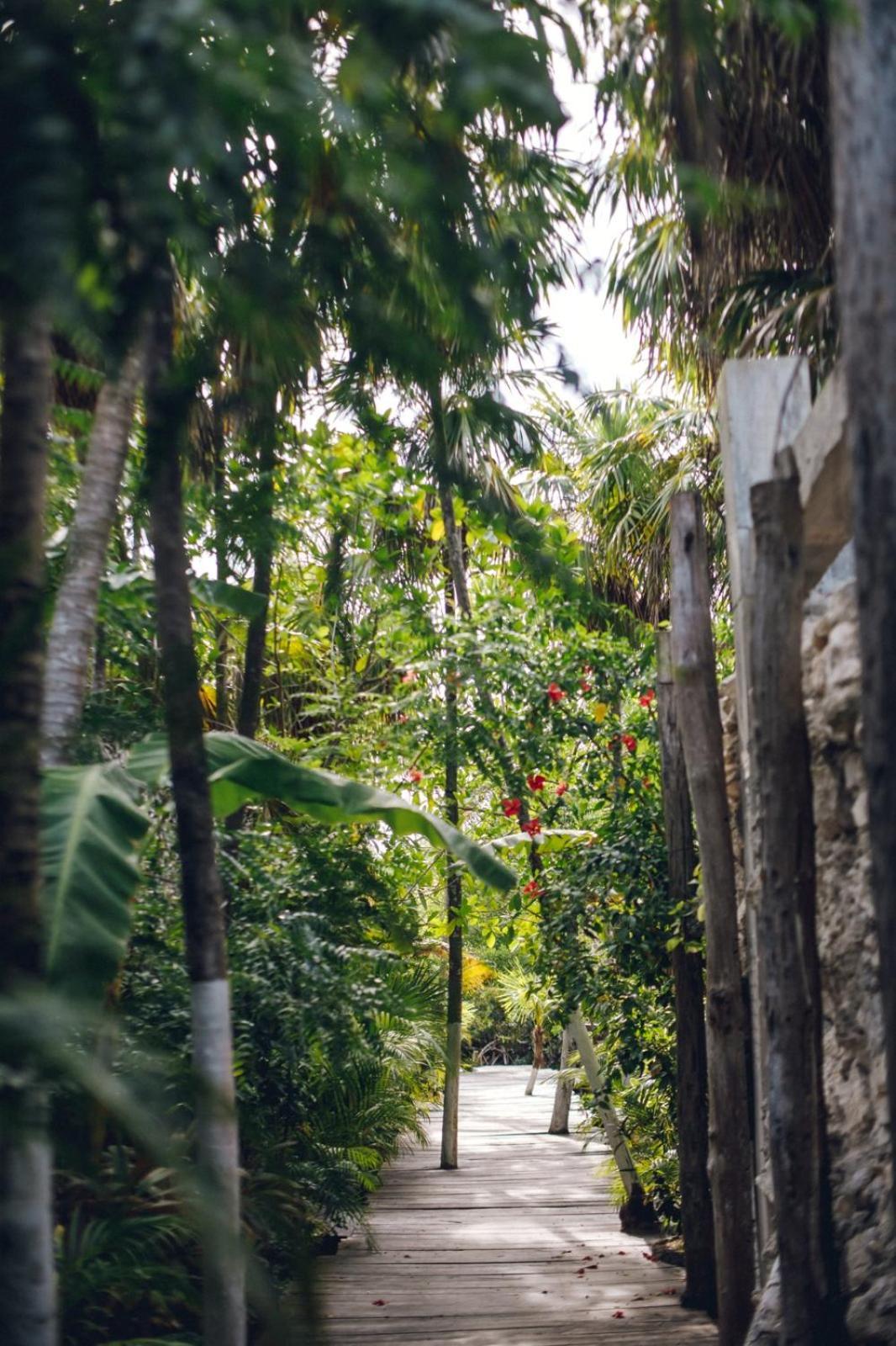 فندق Uman Glamping & Cenote تولوم المظهر الخارجي الصورة